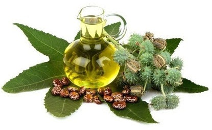 6 Carrier Oils and Best oil that are Absolutely Safe to Use!
